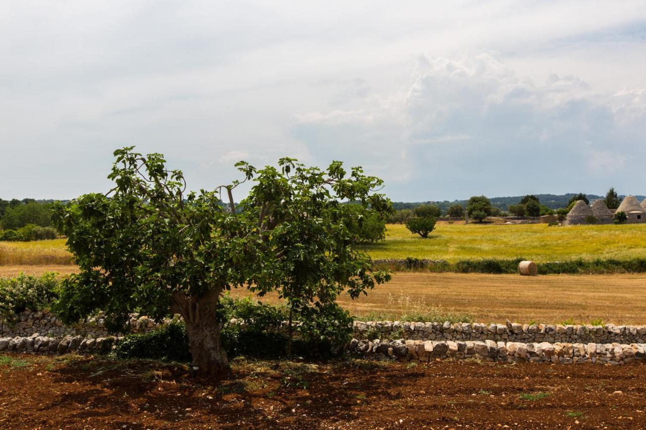 Trulli Gianpaolo - Luxury Villa Ostuni Eksteriør bilde